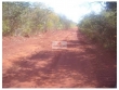 Fazenda com 10 mil hectares, terra bruta, dupla ap