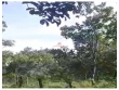 Fazenda com 4100 hectares, dupla aptid?o, ?rea br