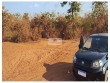 Fazenda com 1100 hectares, dupla aptidão