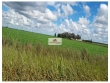 Fazenda com 438.000 hectares, 60% da área já foi u