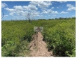 Fazenda com 1900 hectares, dupla aptidão, plana, p