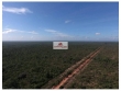 Fazenda na região de Fernando Falcão, com 20.837 h