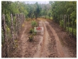 Fazenda com 132 hectares, terra bruta, dupla aptid