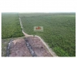 Fazenda com 2840 hectares, dupla aptidão, terra br