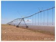 Fazenda com 1000 hectares, com 4 pivots centrais, 