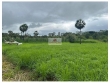 Fazenda com 5000 hectares, sendo 4.732 ha com vege