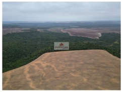 Fazenda na região de Paragominas-PA, com 3566 hectares, com área útil de 2.270 hectares, sendo 2.150 hectares com plantio consolidado