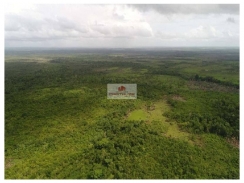 Fazenda na região de Turiaçú-MA, com 5 mil hectares, terra bruta