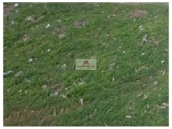 Fazenda com 80 hectares, em Teresina, Cacimba Velha, asfalto