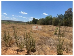 Fazenda na região de Matões-MA, com 500 hectares terra bruta, dupla aptidão